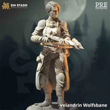 DZQ Icefield Warrior Chess Model