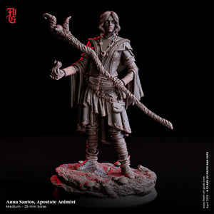 DZQ Hero Chess Model